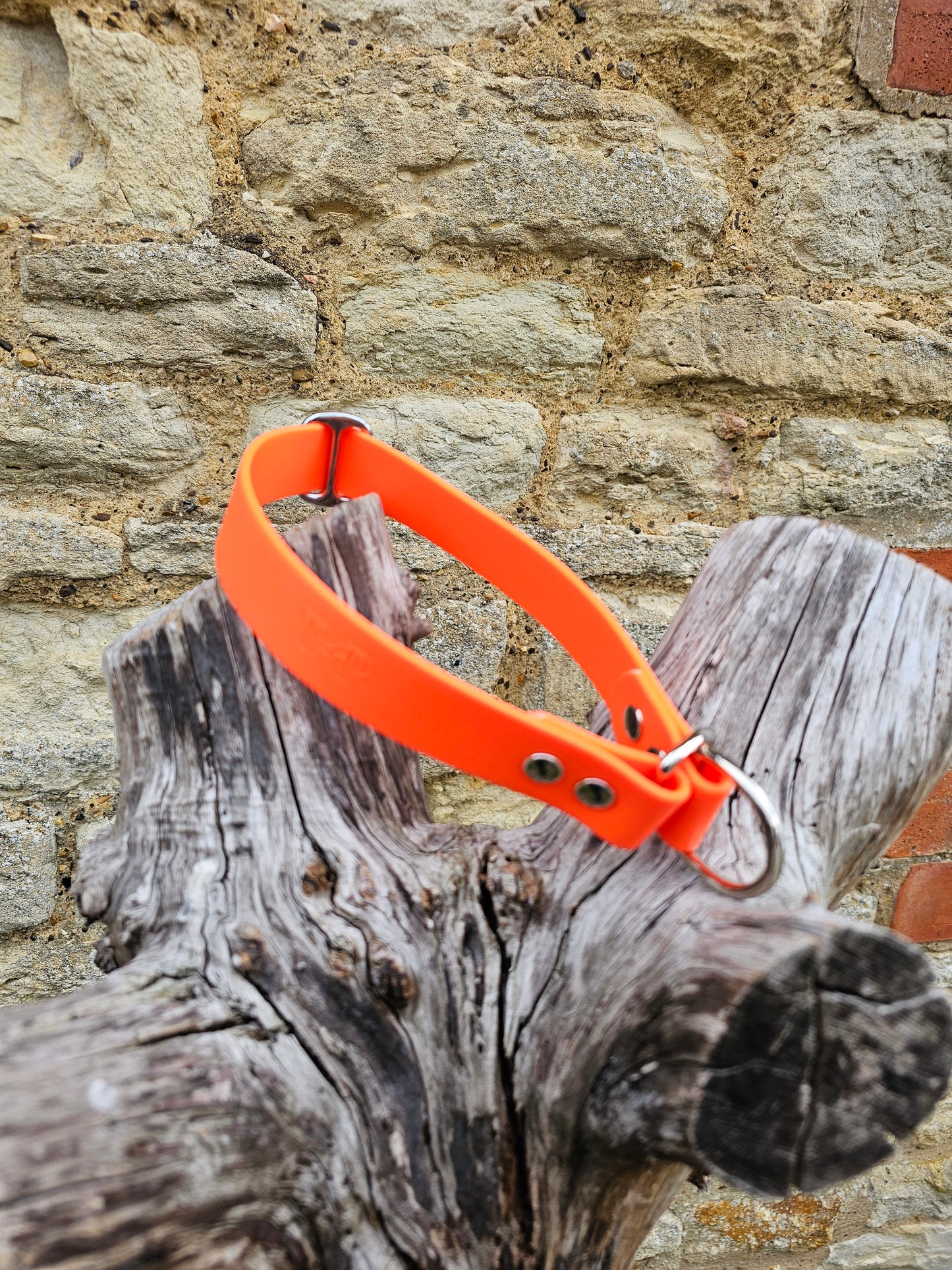 Neon Orange - Waterproof BioThane© safe-stop Slip Dog Collar