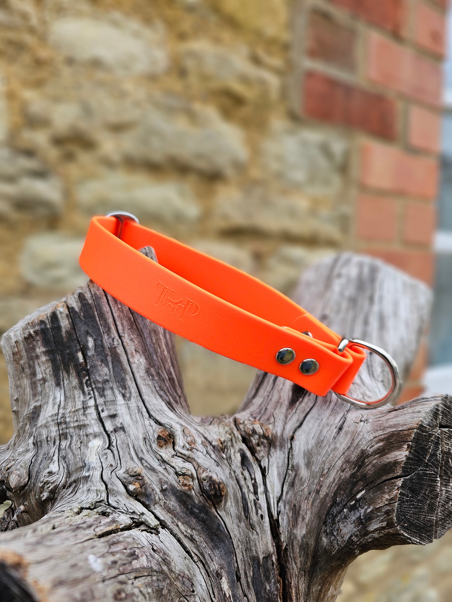Neon Orange - Waterproof BioThane© safe-stop Slip Dog Collar
