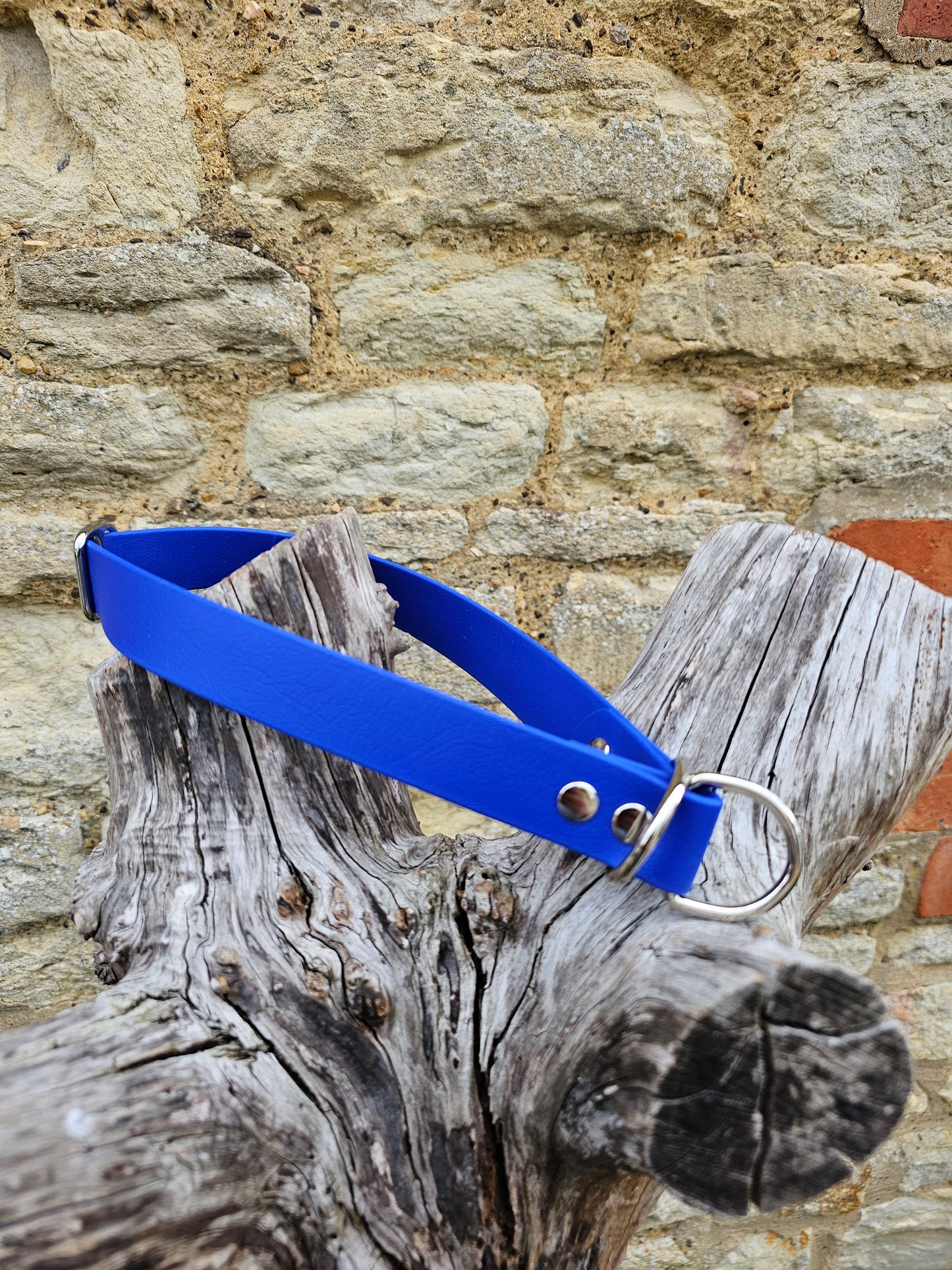 Royal Blue - Waterproof BioThane© safe-stop Slip Dog Collar
