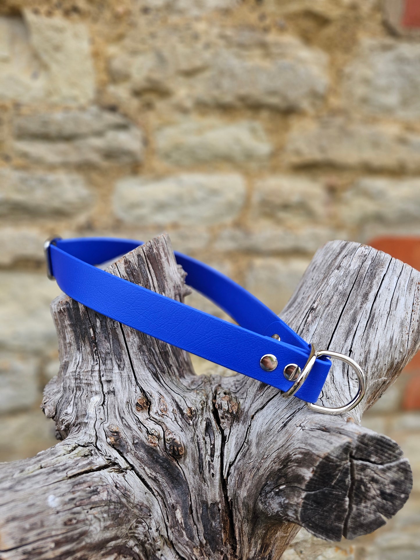 Royal Blue - Waterproof BioThane© safe-stop Slip Dog Collar