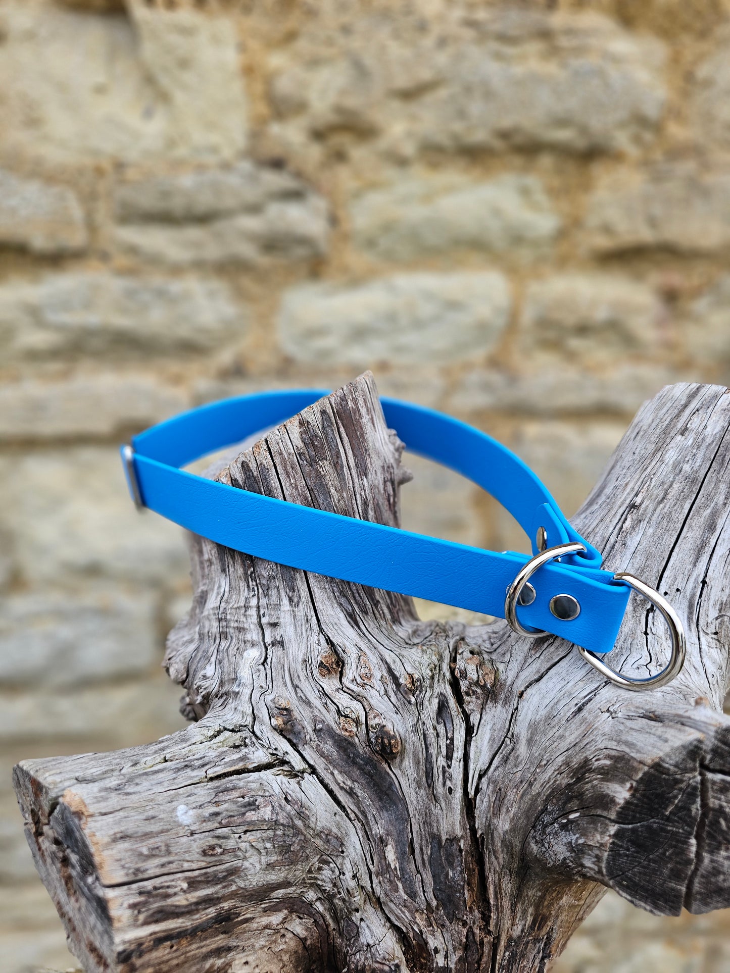 Blue - Waterproof BioThane© safe-stop Slip Dog Collar