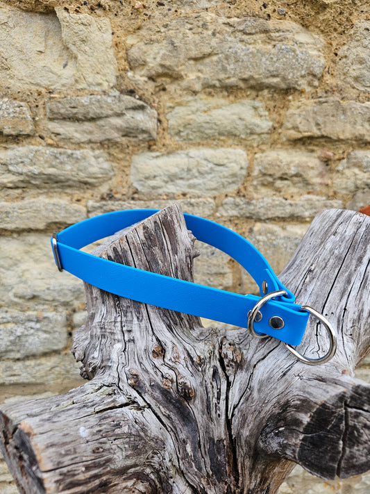 Blue - Waterproof BioThane© safe-stop Slip Dog Collar