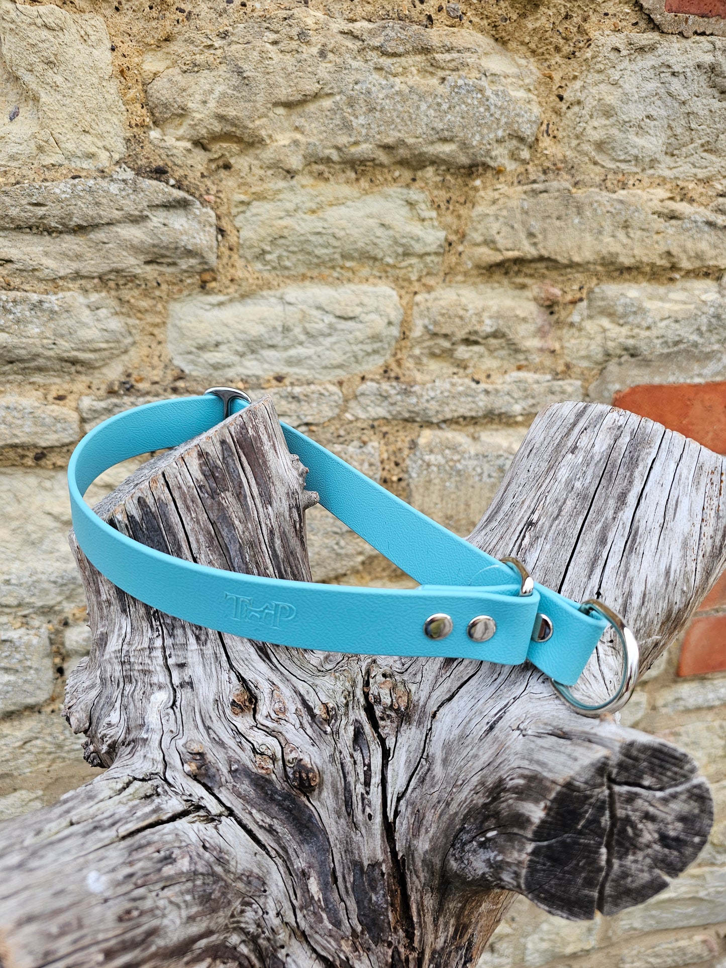 Duckegg - Waterproof BioThane© safe-stop Slip Dog Collar
