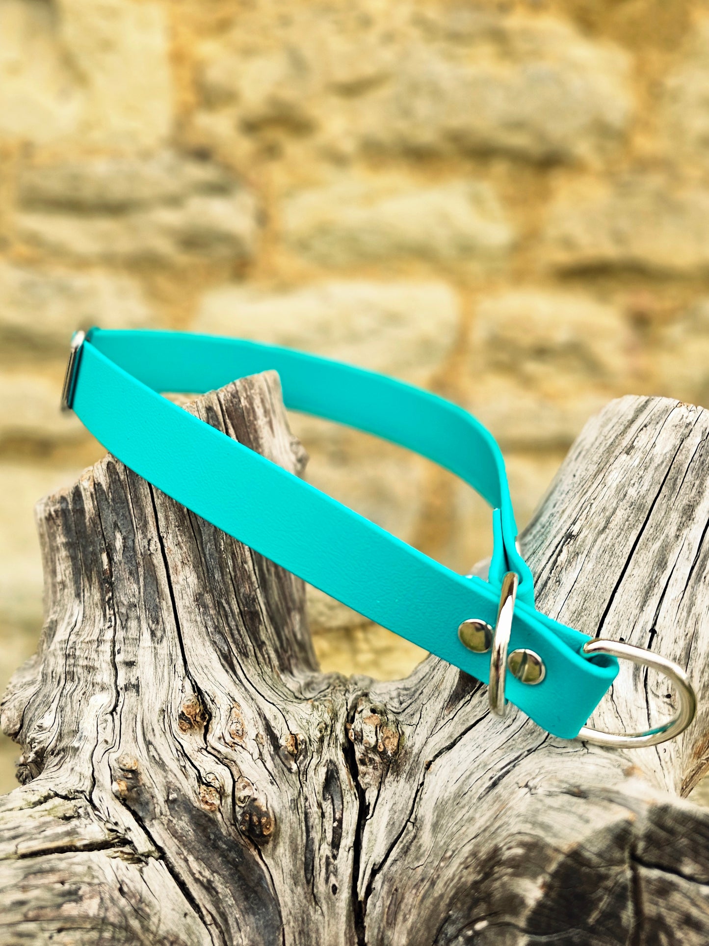 Teal - Waterproof BioThane© safe-stop Slip Dog Collar