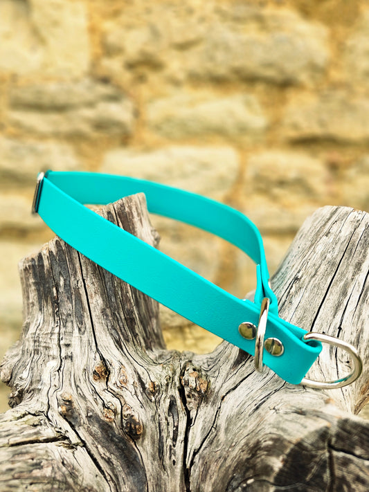 Teal - Waterproof BioThane© safe-stop Slip Dog Collar