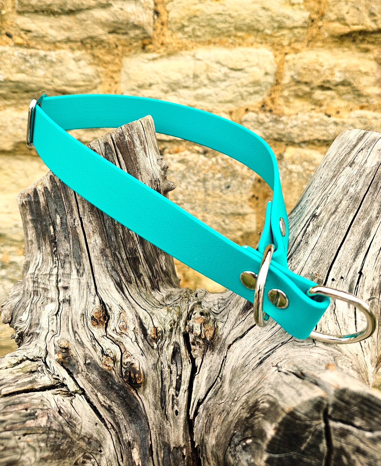 Teal - Waterproof BioThane© safe-stop Slip Dog Collar
