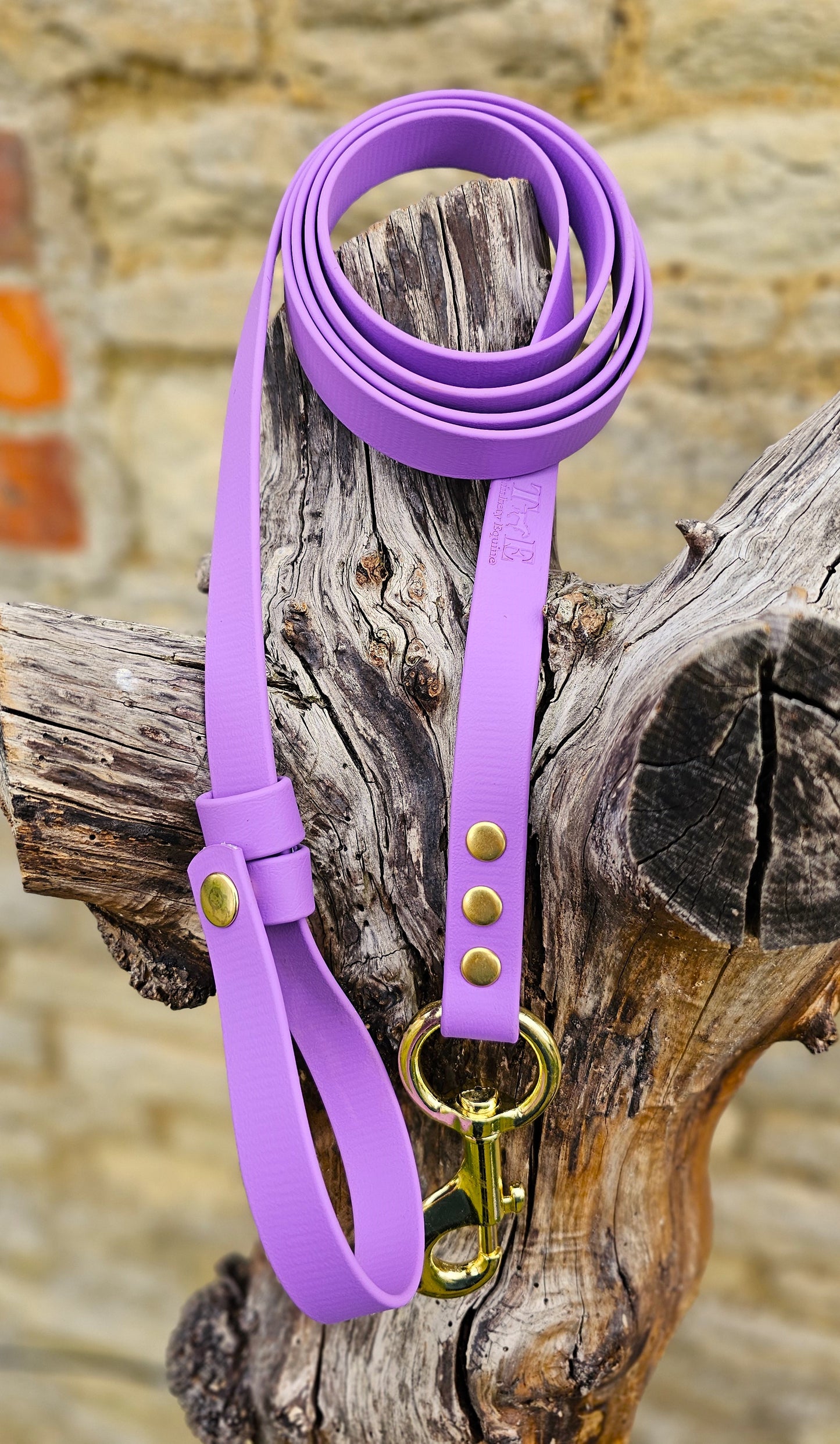 Amethyst - Waterproof BioThane® Horse break-away Lead Lines