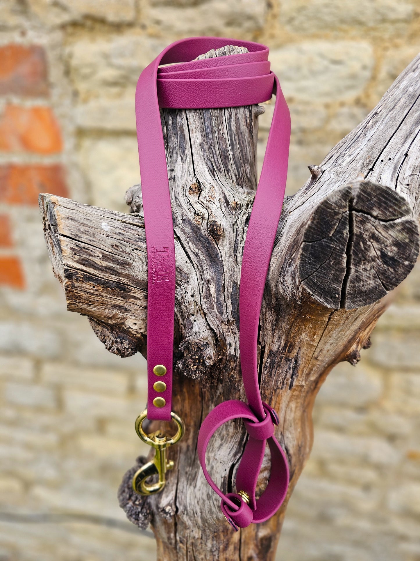 Burgundy - Waterproof BioThane® Horse break-away Lead Lines
