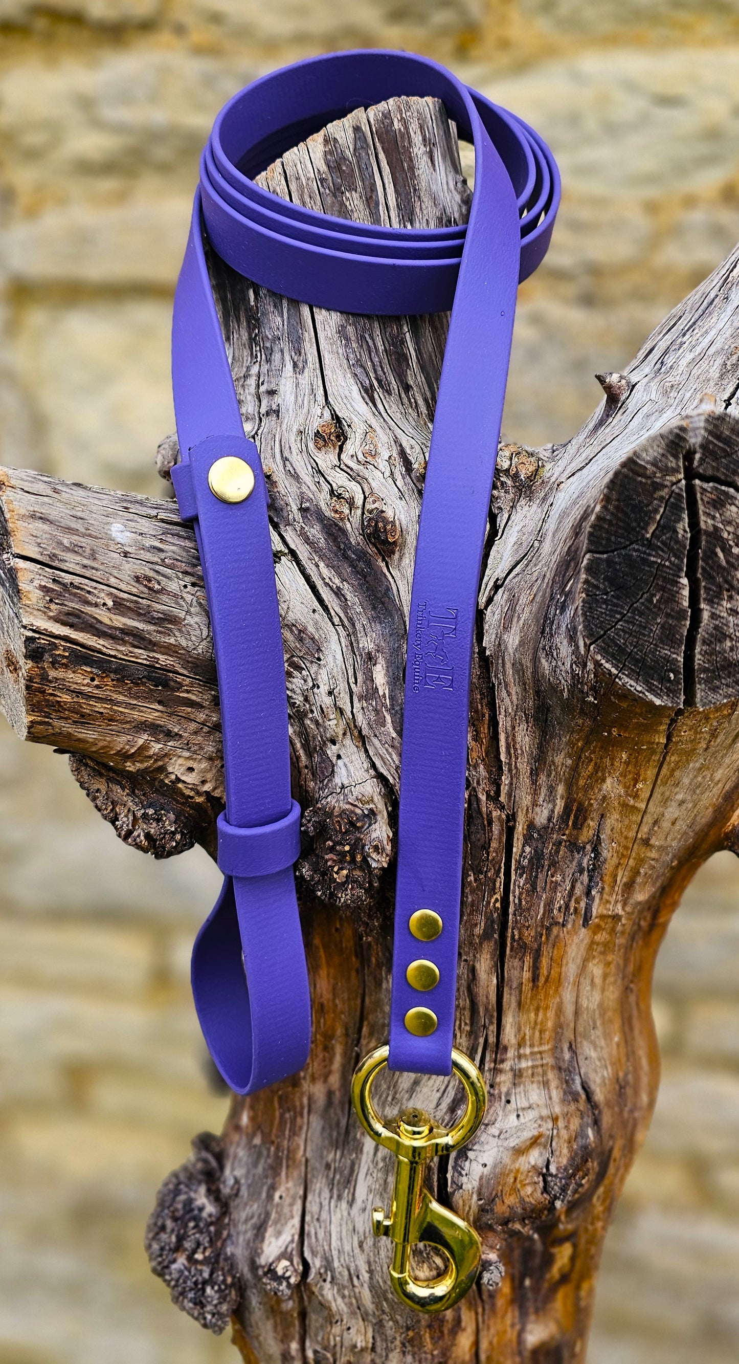 Purple - Waterproof BioThane® Horse break-away Lead Lines