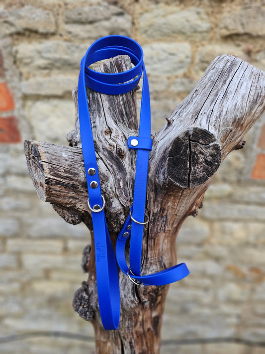 Royal Blue - Waterproof BioThane© Dog Figure8 Lead