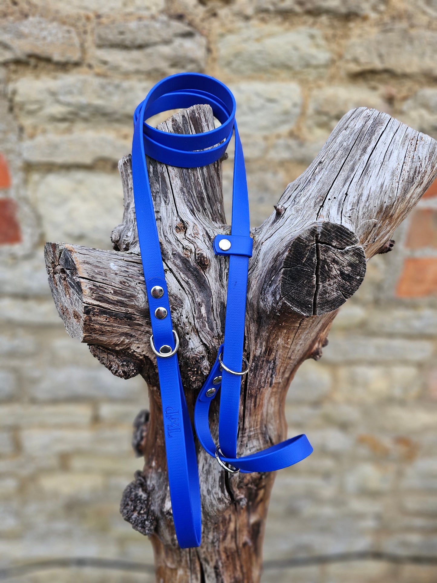 Royal Blue - Waterproof BioThane© Dog Figure8 Lead