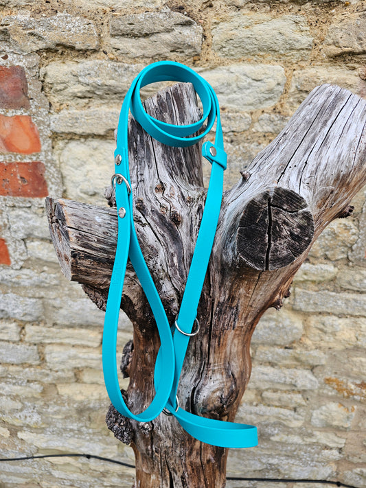Teal  - Waterproof BioThane© Dog Figure8 Lead