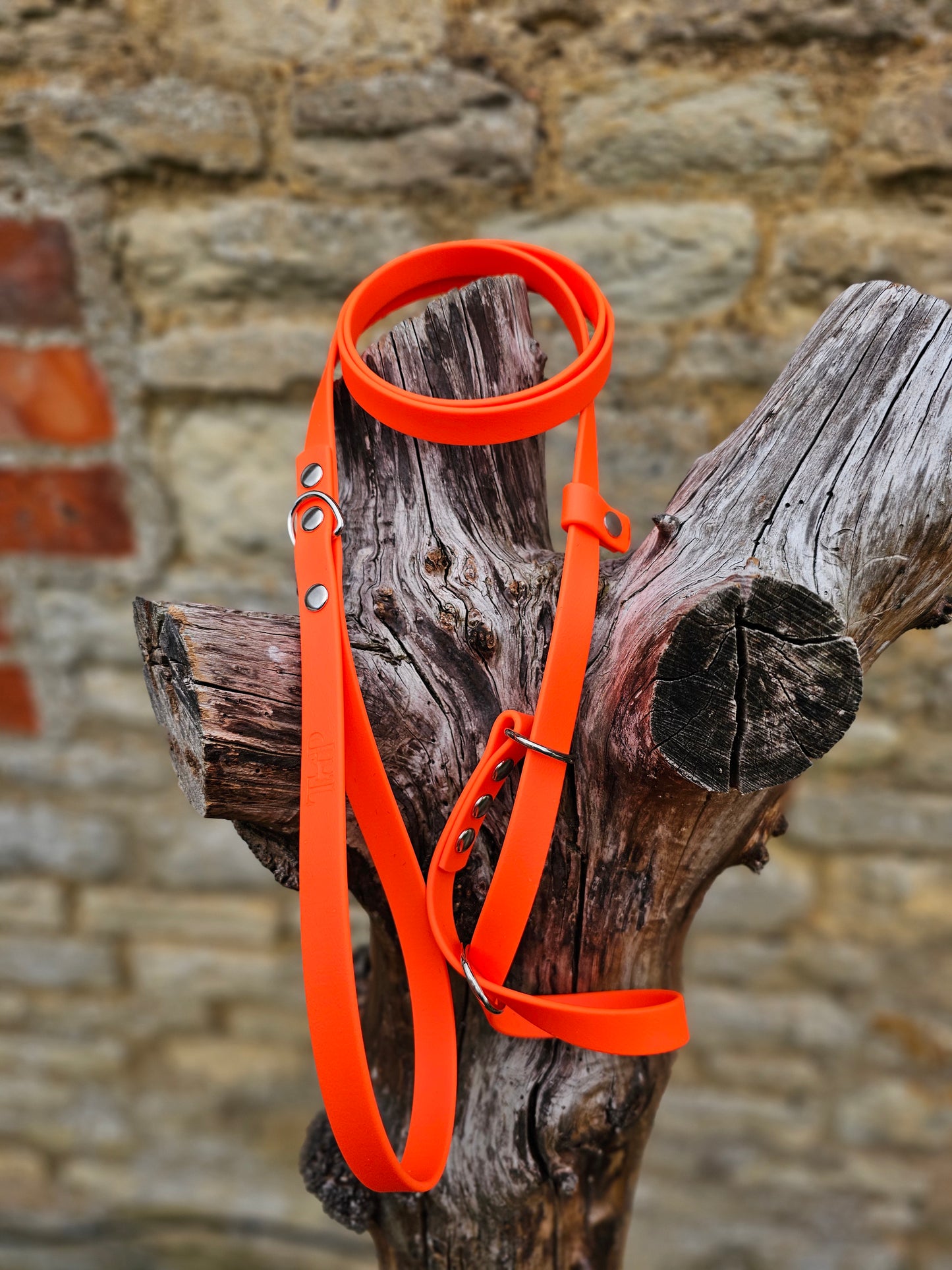Neon Orange - Waterproof BioThane© Dog Figure8 Lead