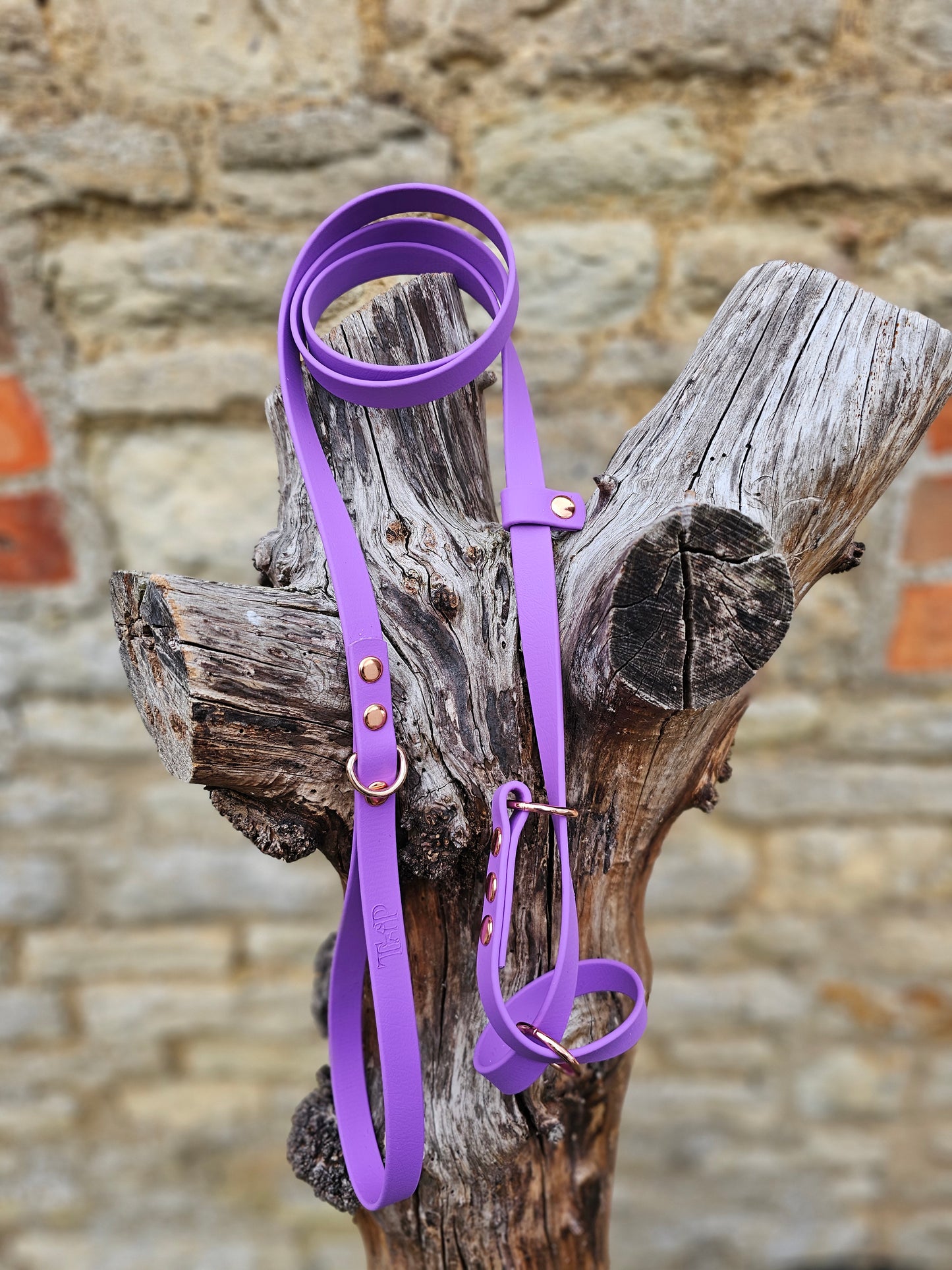 Amethyst - Waterproof BioThane© Dog Figure8 Lead