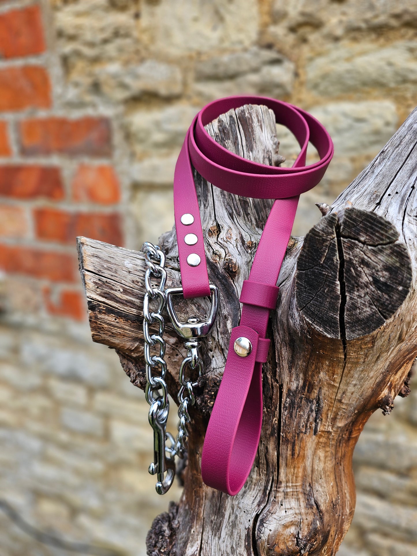 Burgundy - Waterproof BioThane® Horse break-away Lead Lines