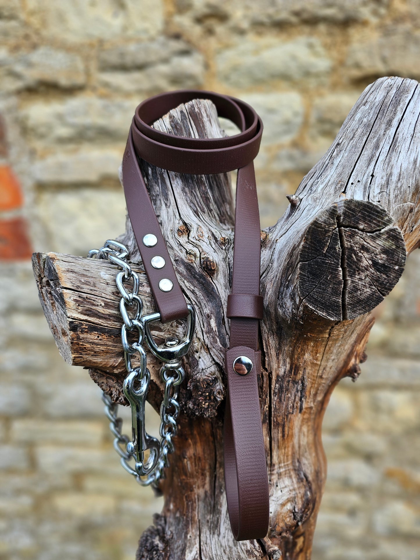 Dark Brown - Waterproof BioThane® Horse break-away Lead Lines