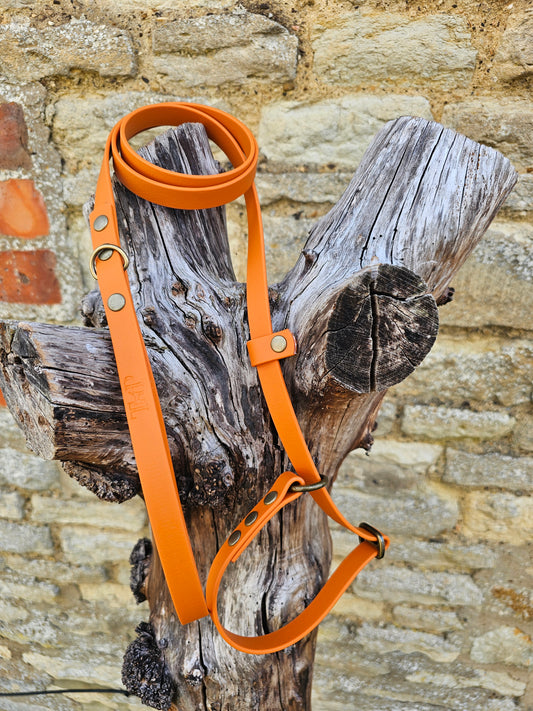 Burnt Orange - Waterproof BioThane© Dog Slip Lead