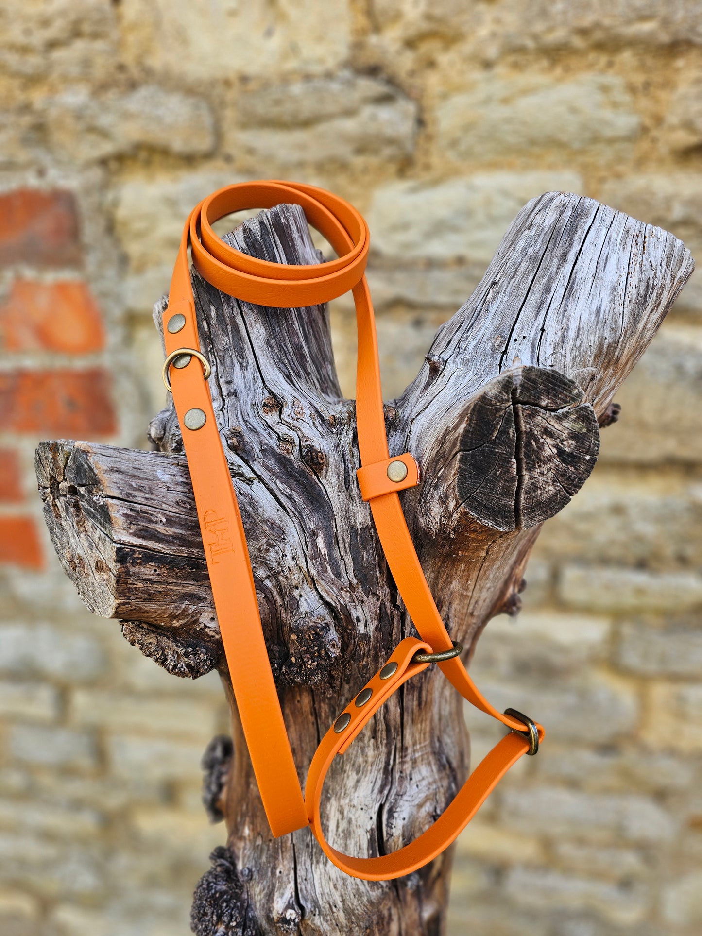Burnt Orange - Waterproof BioThane© Dog Slip Lead