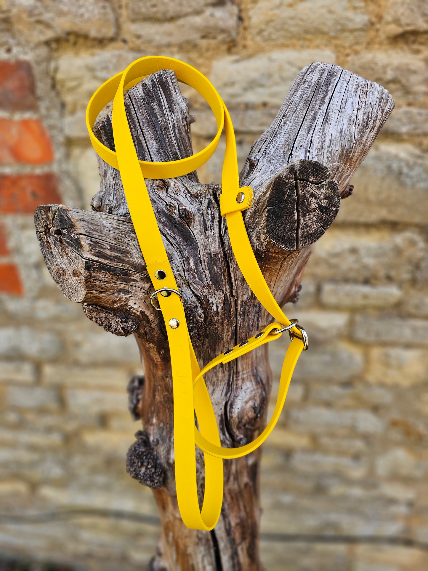 Yellow - Waterproof BioThane© Dog Slip Lead