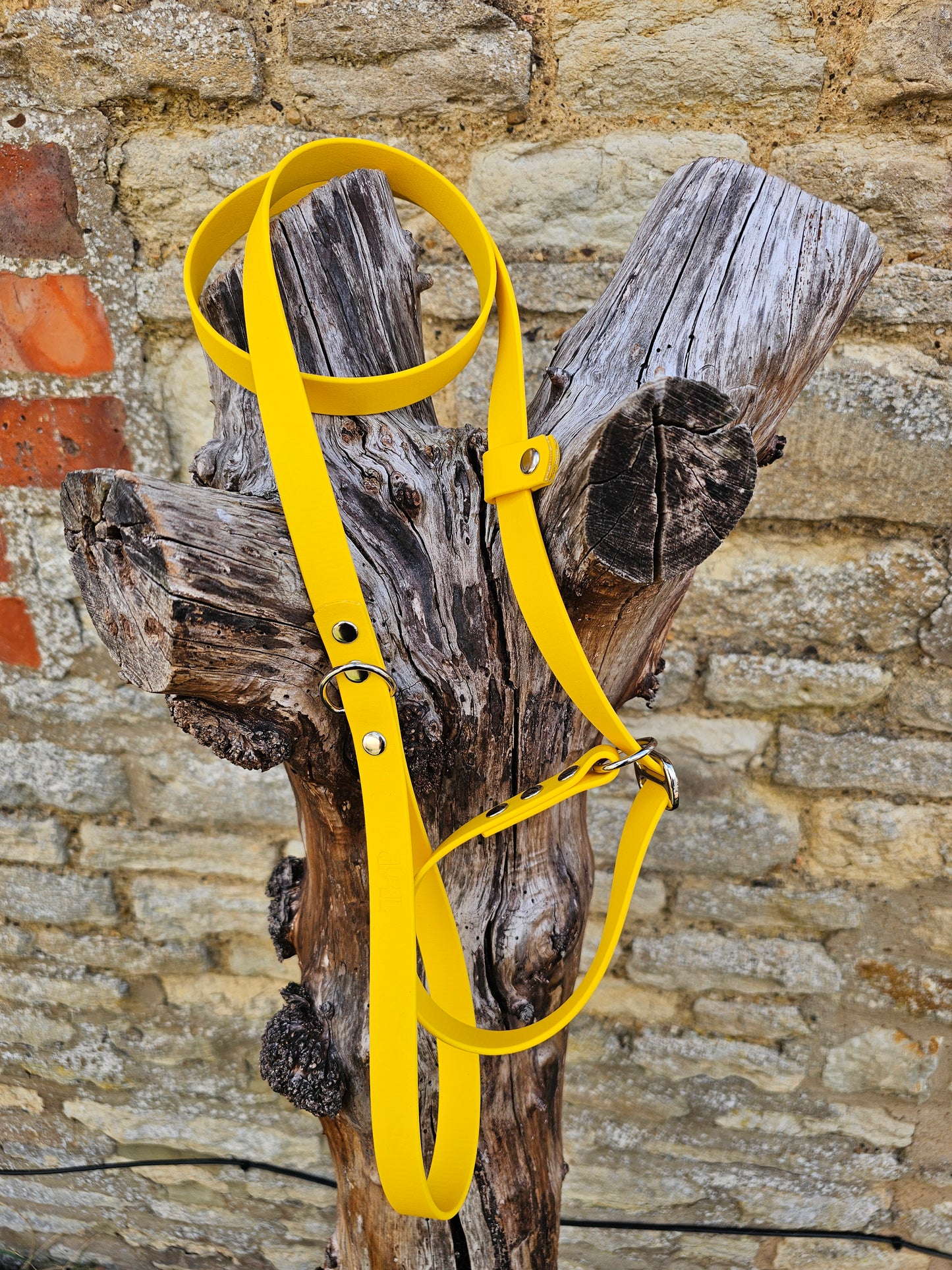 Yellow - Waterproof BioThane© Dog Slip Lead