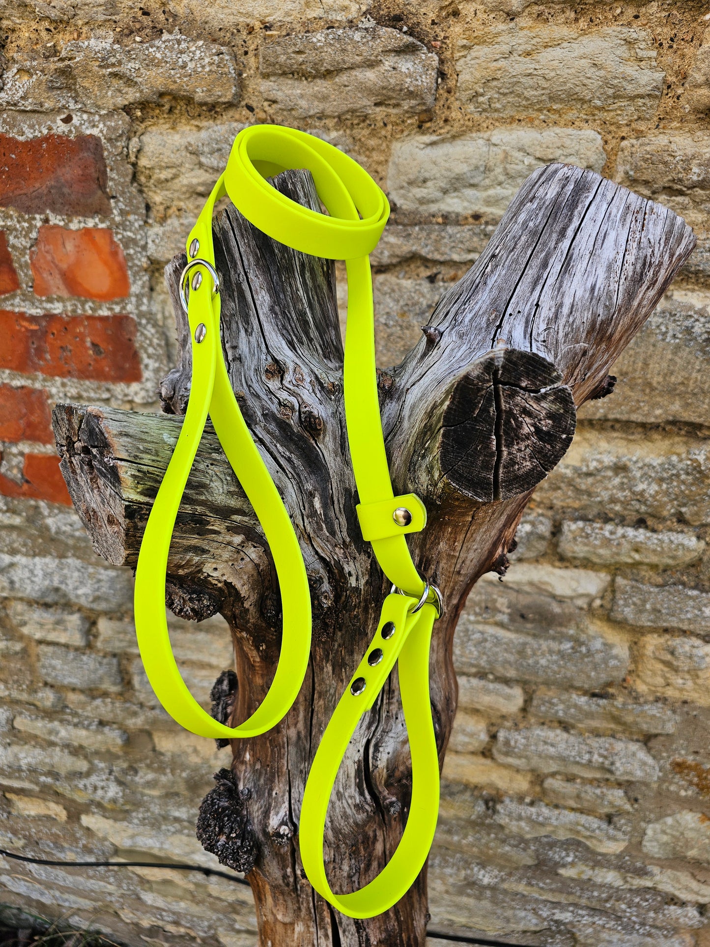 Neon Yellow - Waterproof BioThane© Dog Slip Lead
