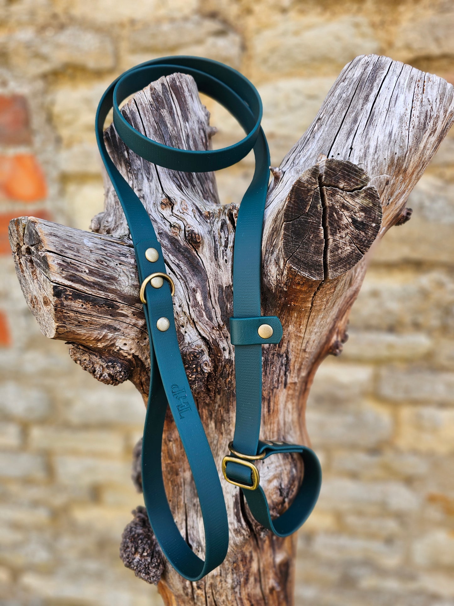Dark Green - Waterproof BioThane© Dog Slip Lead