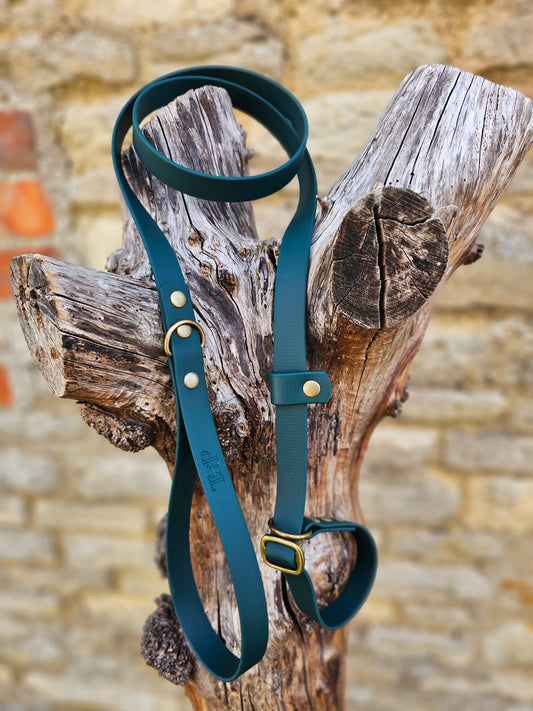 Dark Green - Waterproof BioThane© Dog Slip Lead
