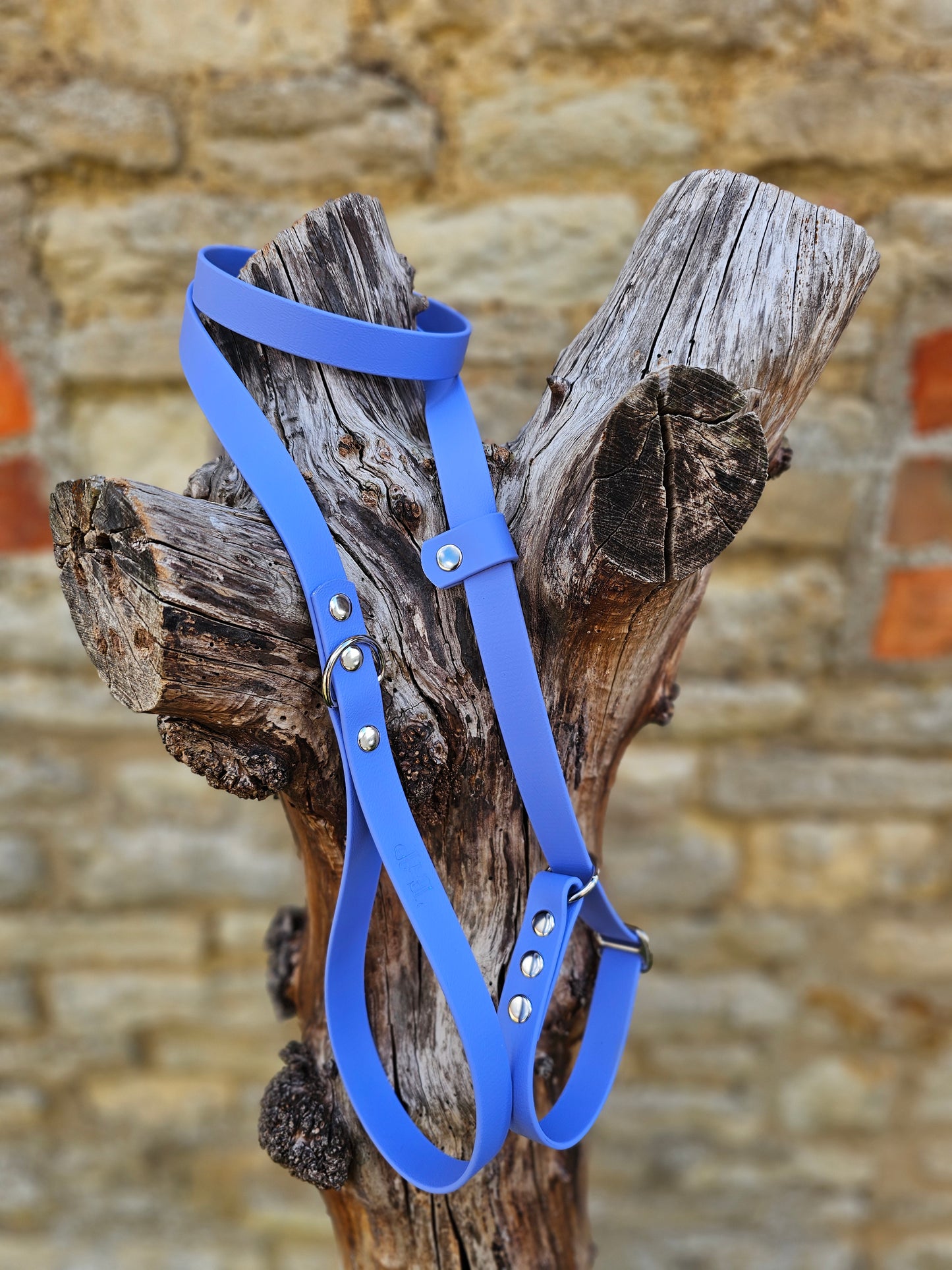 Periwinkle - Waterproof BioThane© Dog Slip Lead