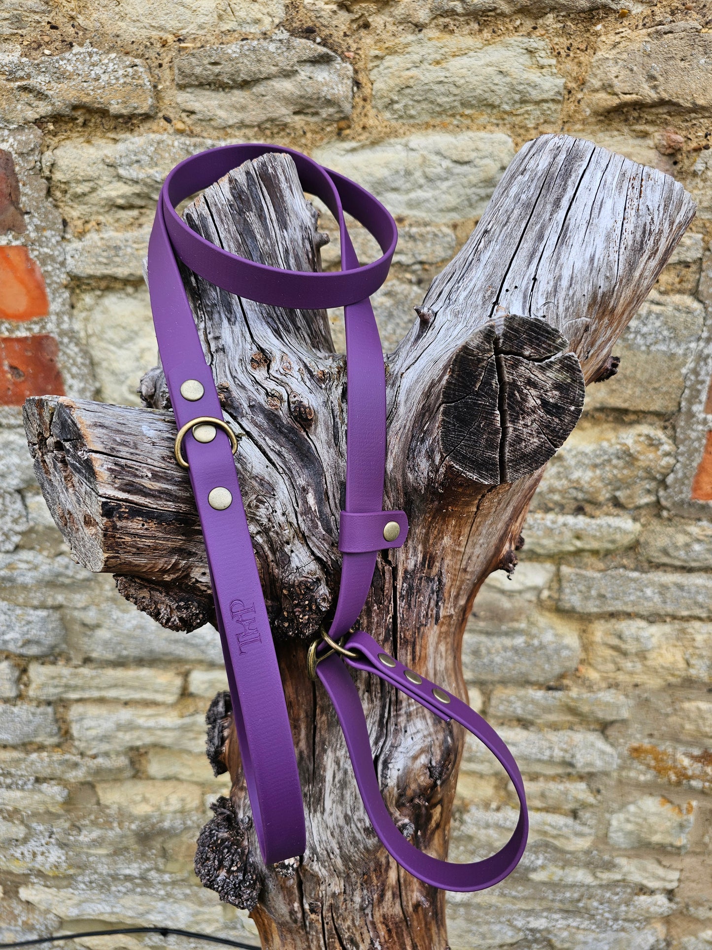 Aubergine - Waterproof BioThane© Dog Slip Lead