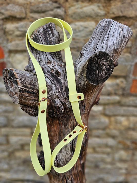 Lemon - Waterproof BioThane© Dog Slip Lead