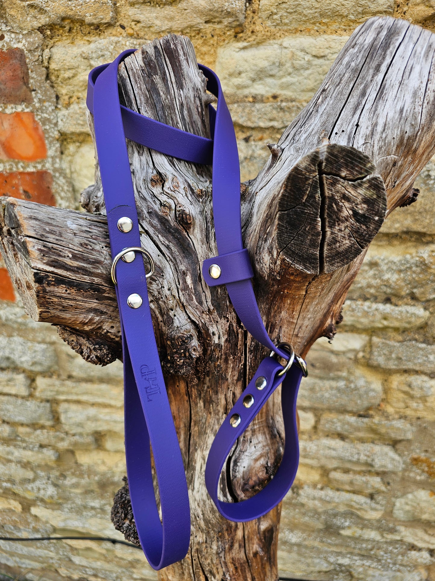 Purple - Waterproof BioThane© Dog Slip Lead