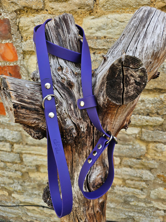 Purple - Waterproof BioThane© Dog Slip Lead