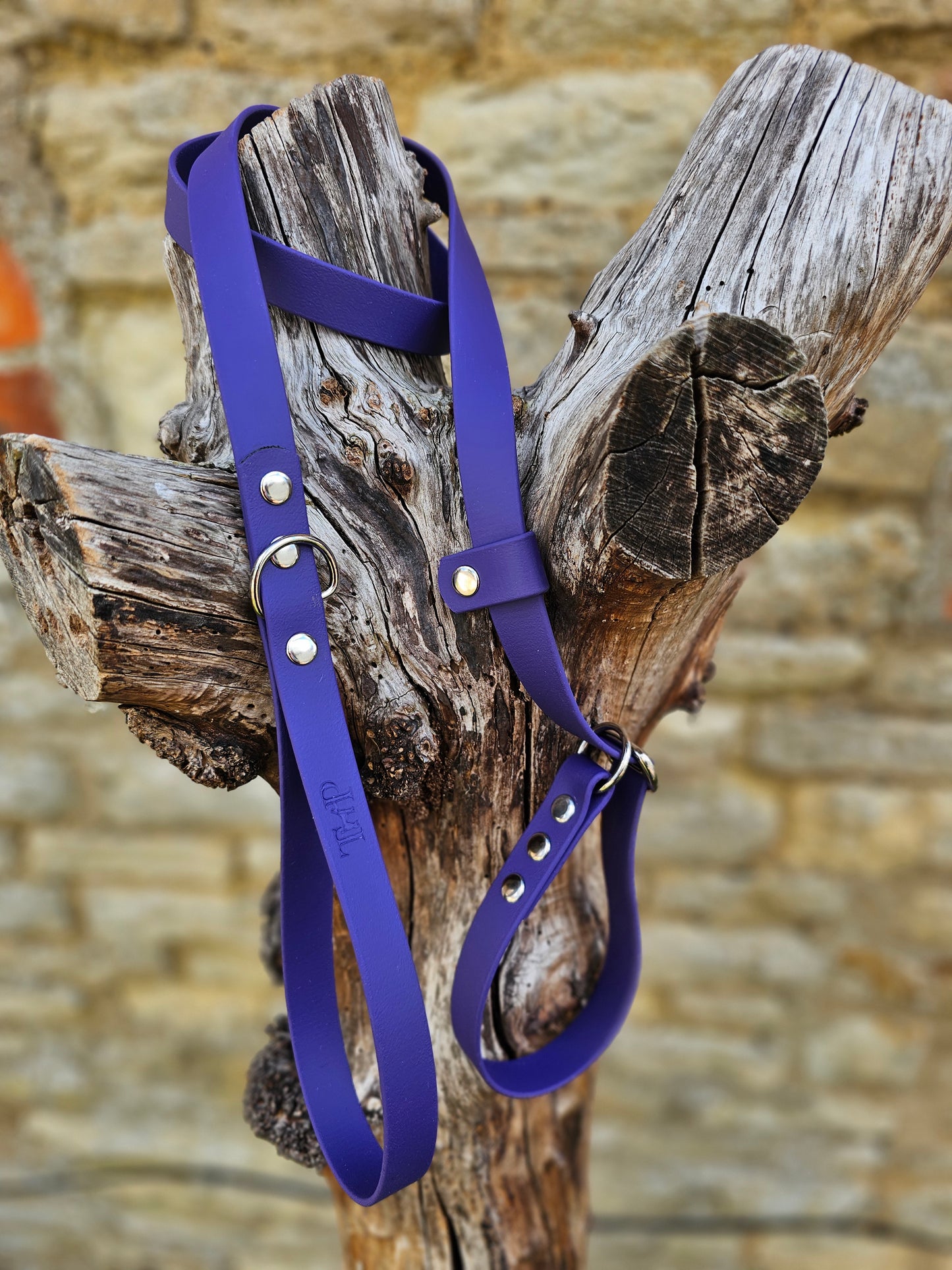 Purple - Waterproof BioThane© Dog Slip Lead