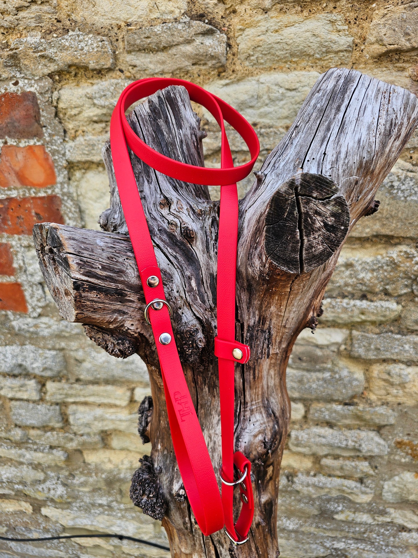 Red - Waterproof BioThane© Dog Slip Lead