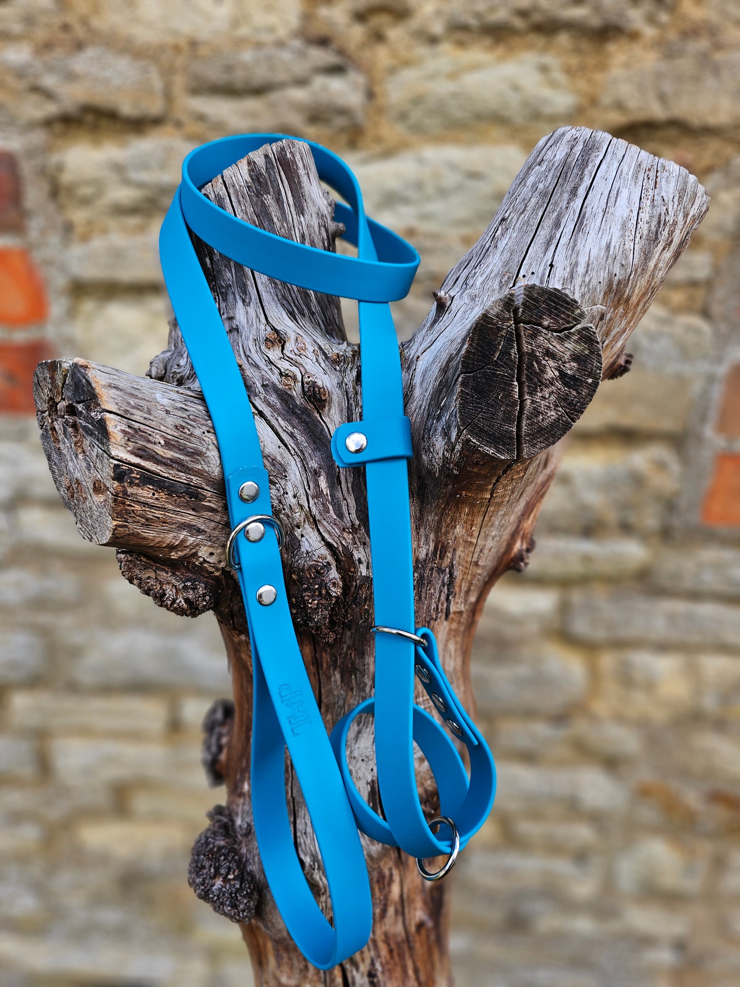 Blue - Waterproof BioThane© Dog Figure8 Lead