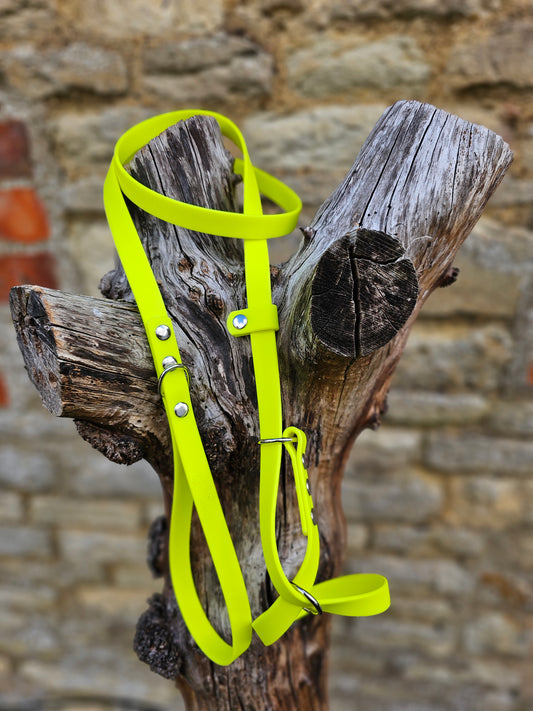 Neon Yellow - Waterproof BioThane© Dog Figure8 Lead
