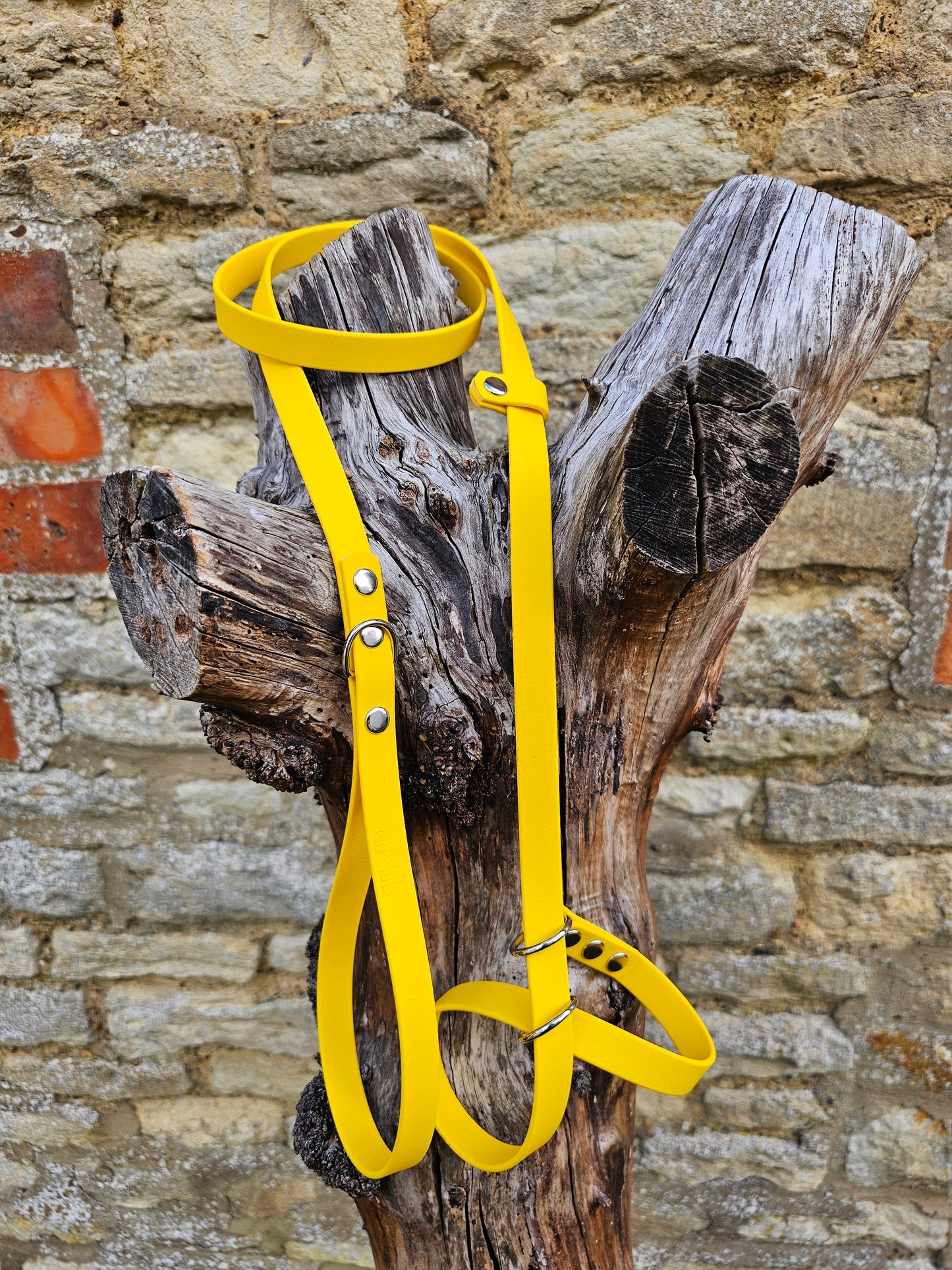 Yellow - Waterproof BioThane© Dog Figure8 Lead
