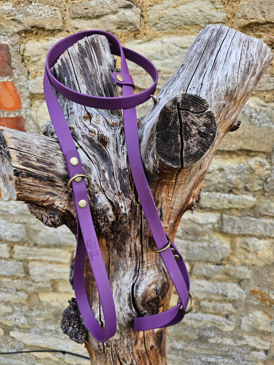 Aubergine - Waterproof BioThane© Dog Figure8 Lead