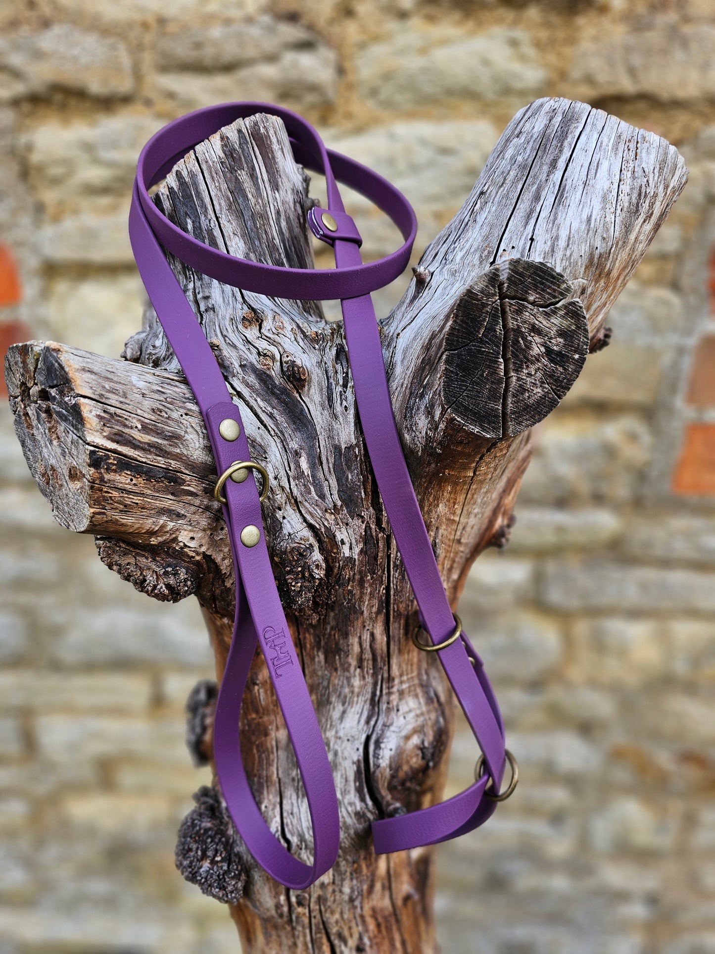 Aubergine - Waterproof BioThane© Dog Figure8 Lead