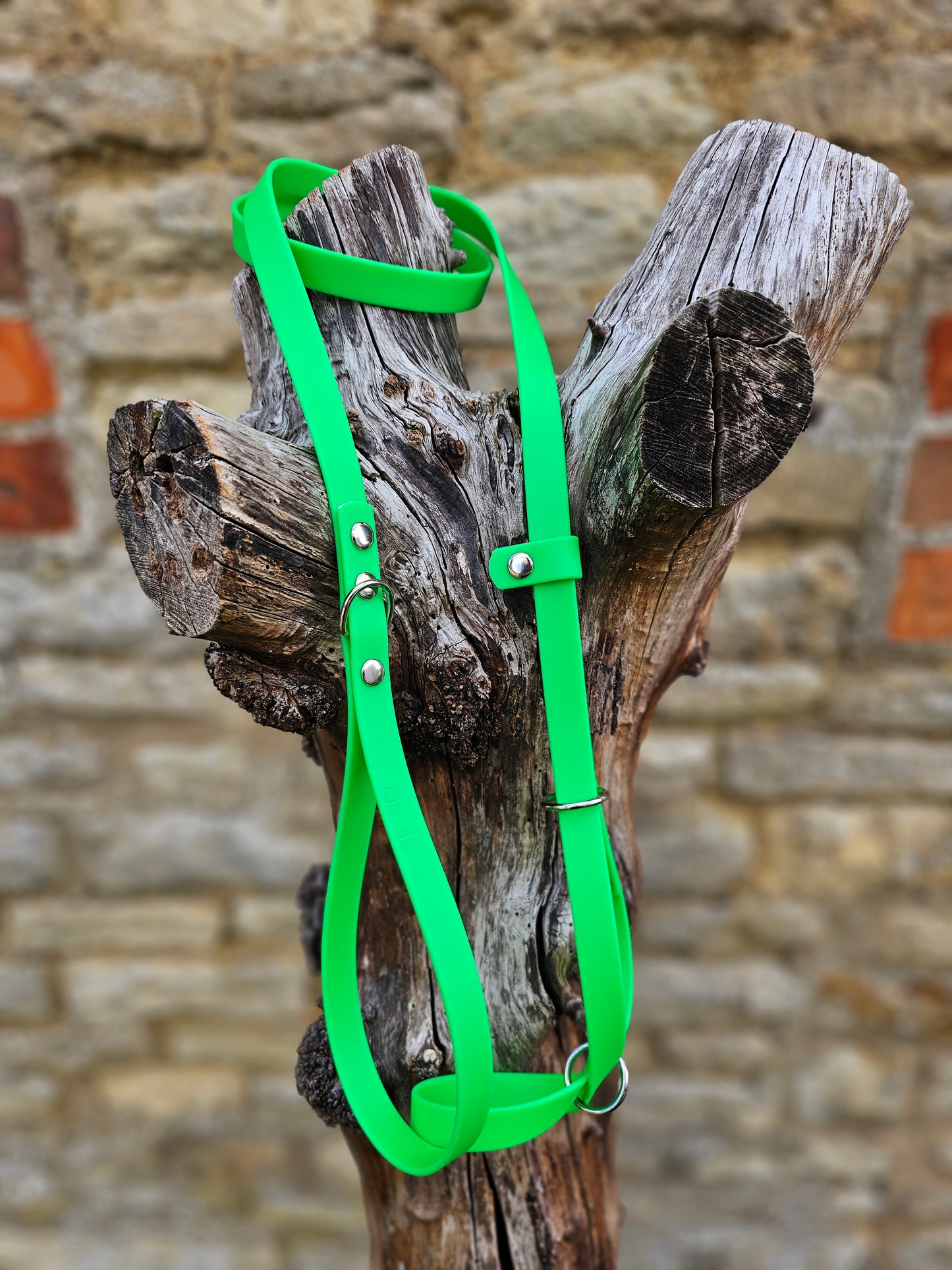 Neon Green - Waterproof BioThane© Dog Figure8 Lead