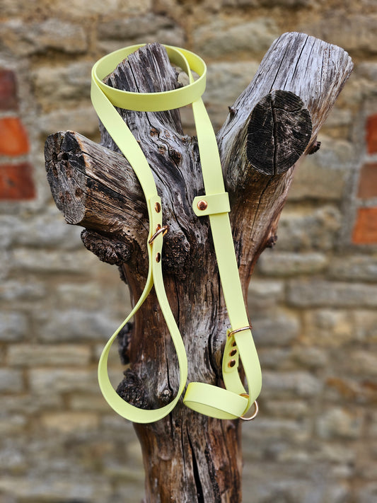 Lemon - Waterproof BioThane© Dog Figure8 Lead