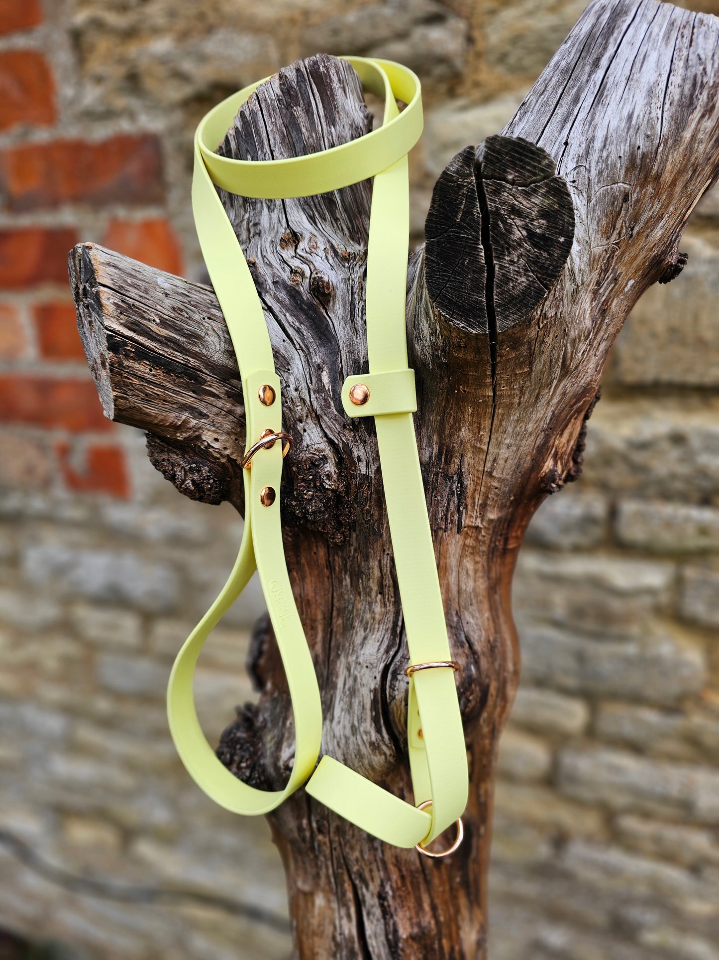 Lemon - Waterproof BioThane© Dog Figure8 Lead