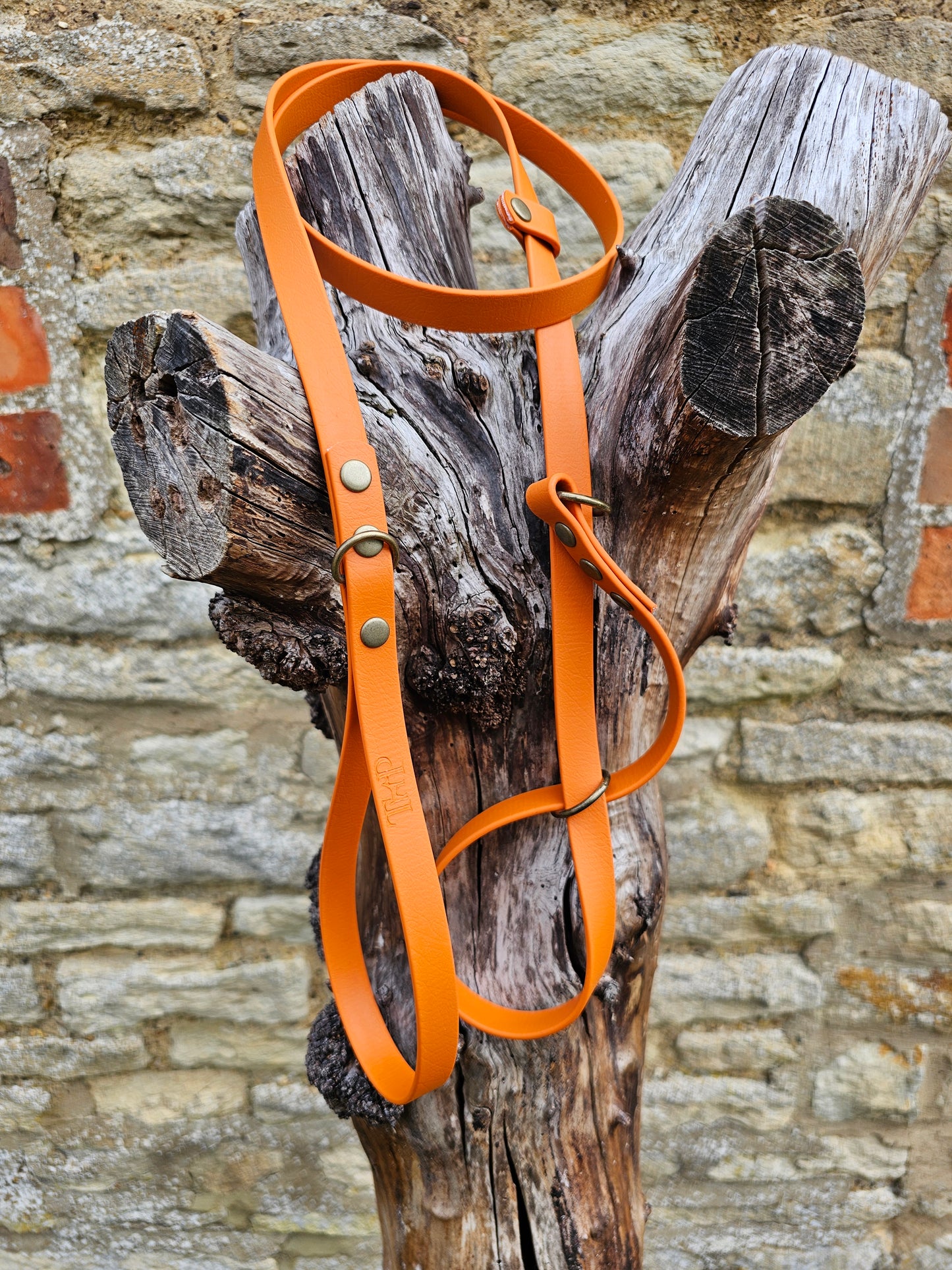 Burnt Orange - Waterproof BioThane© Dog Figure8 Lead