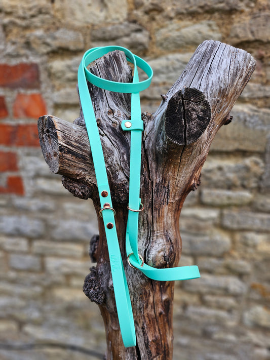 Mint - Waterproof BioThane© Dog Figure8 Lead