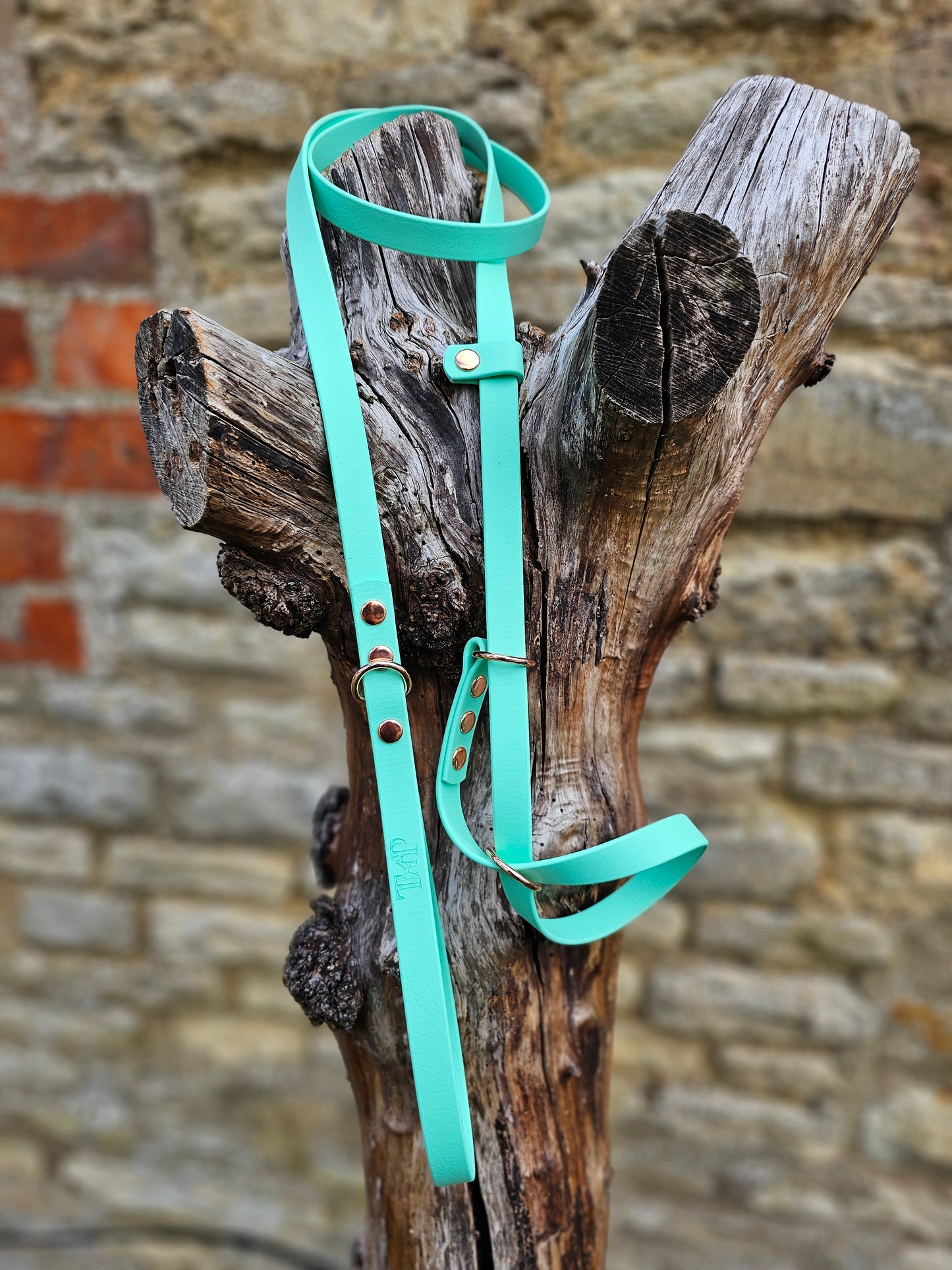Mint - Waterproof BioThane© Dog Figure8 Lead