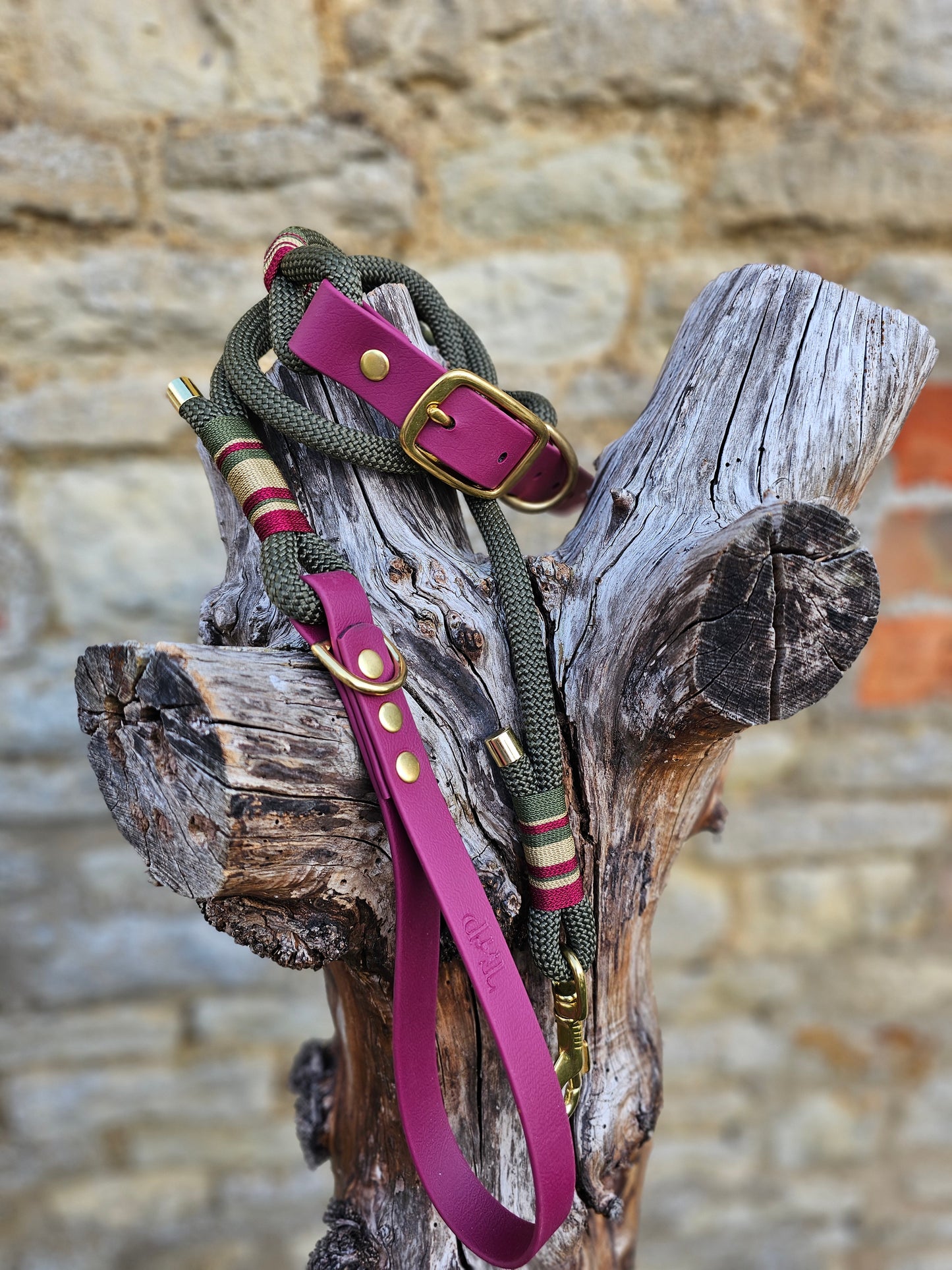 Winchester - Premium Rope BioThane® Dog Lead