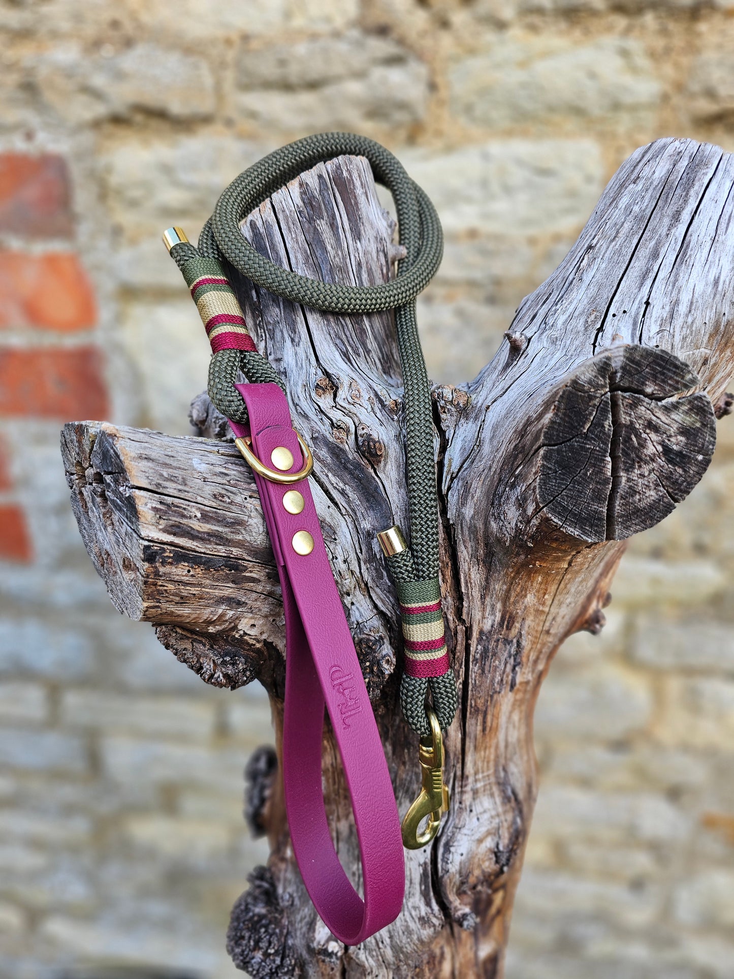 Winchester - Premium Rope BioThane® Dog Lead