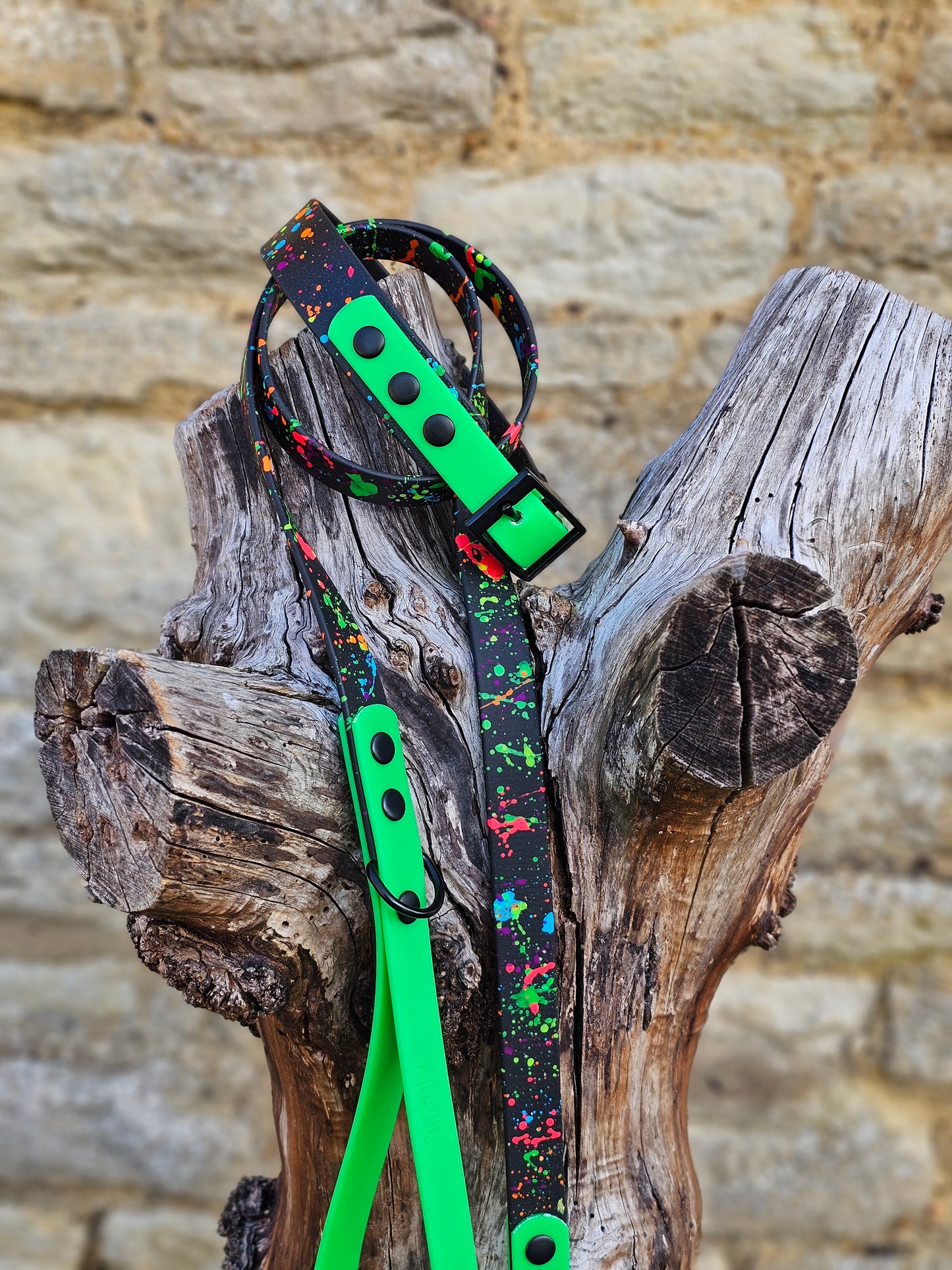 Neon Splatter Bundle - BioThane® 24-piece Bundle