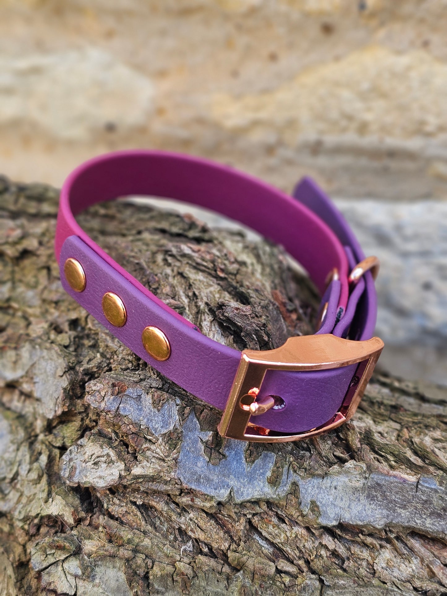 Burgundy & Aubergine - Waterproof BioThane© two-coloured Dog Collar