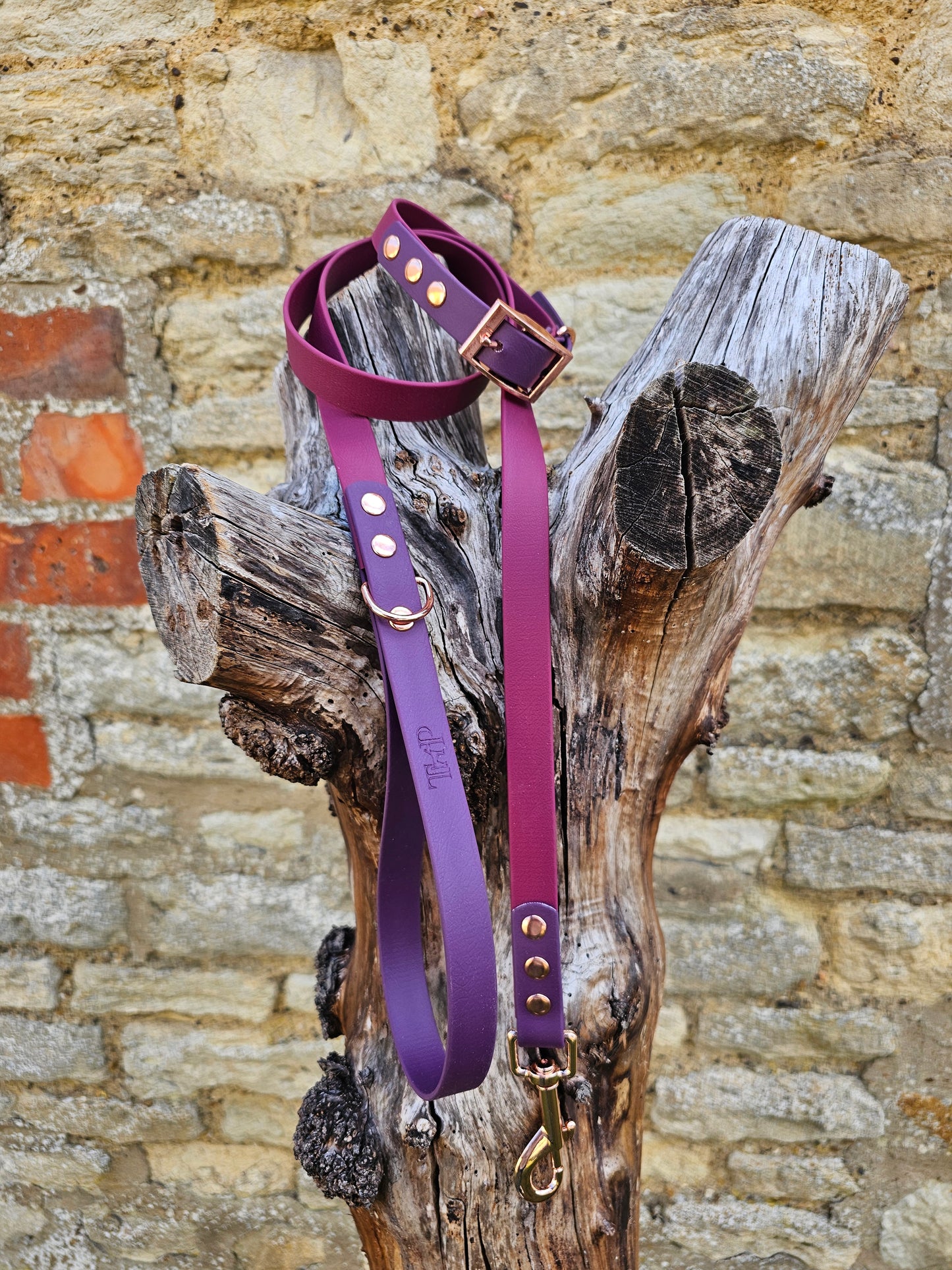 Burgundy & Aubergine - Waterproof BioThane© two-coloured Dog Collar